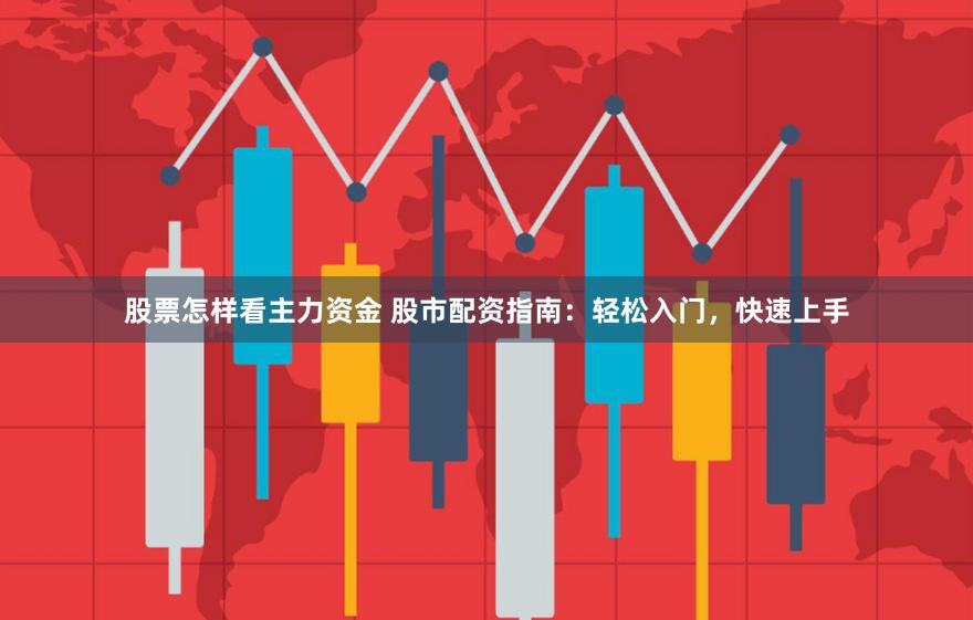 股票怎样看主力资金 股市配资指南：轻松入门，快速上手