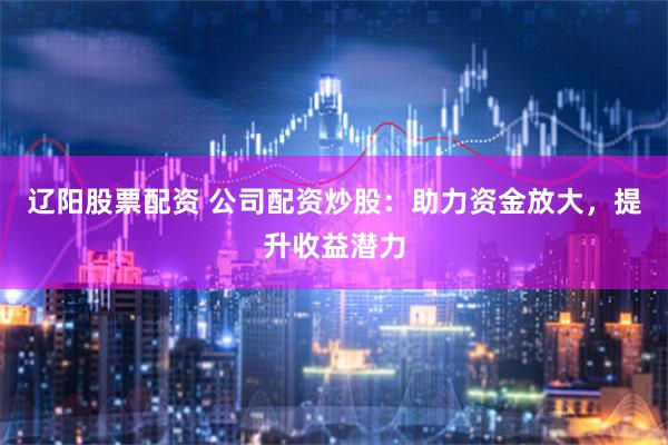 辽阳股票配资 公司配资炒股：助力资金放大，提升收益潜力