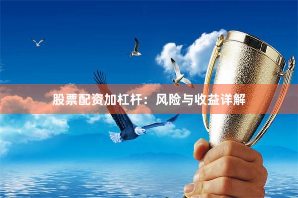 股票配资加杠杆：风险与收益详解