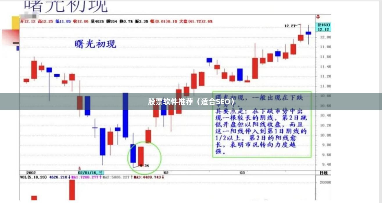 股票软件推荐（适合SEO）