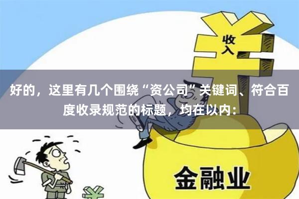 好的，这里有几个围绕“资公司”关键词、符合百度收录规范的标题，均在以内：